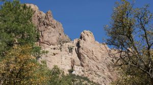 Cliffs rise 1000 feet above Cave Creek Canyon