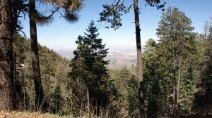 Chiricahua Mountains Lodging