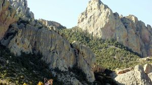 Rhyolite cliffs are found in many parts of the Chiricahua Mountains